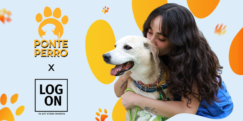 🐾 Ponte Perro: Cuando ayudar cambia más de una vida